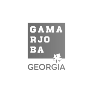 GamarjobaGeorgia logo - SEO ოპტიმიზაცია - SEO სააგენტო პორტალი