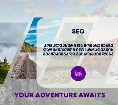 Tripzy Tripzy -SEO სააგენტო პორტალის პროექტი