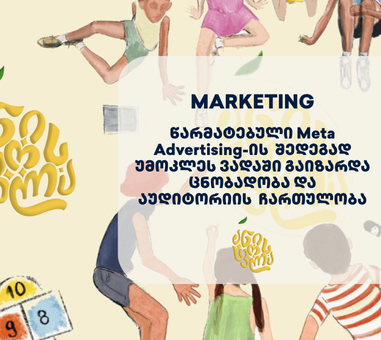 anis-skola-portfolio ანის სკოლა - პორტალის პორტფოლიო - SEO ოპტიმიზაცია