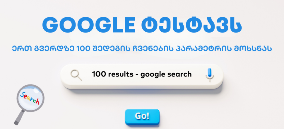 Google Nul=100 - seo სააგენტო portali • პორტალი